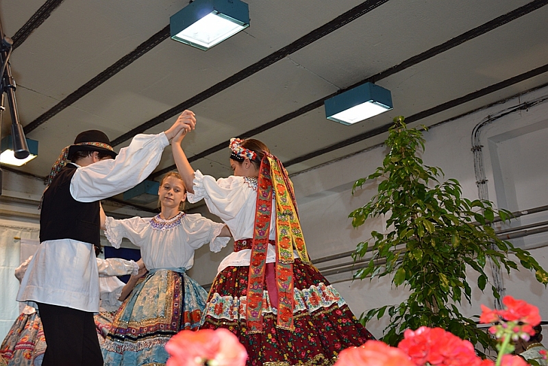 255.JPG