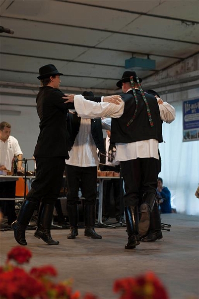 319.jpg