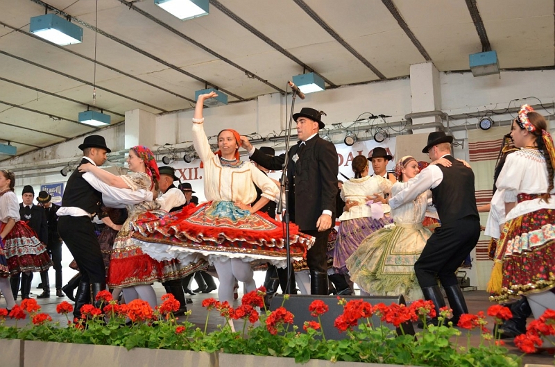 439.JPG