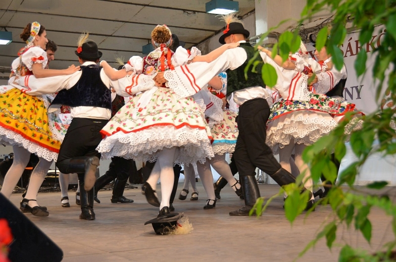 595.JPG